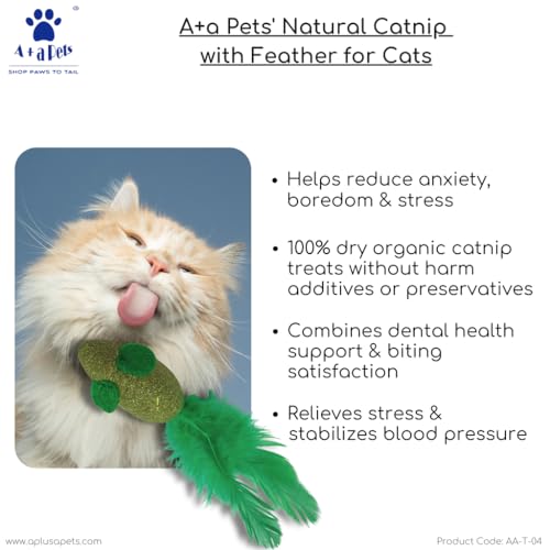 Aa-Pets-Natural-Catnip-Toy-Dental-Hygiene-and-Playful-Entertainment-for-Kittens-and-Cats-Chew-Mint-Toy-Mouse