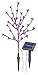 Produktbild Esotec Solar Gartenstecker außen Blütenstrauch, 36 LED Blumen, glühende Firefly Lichter, Akku, Außenleuchte, Solarstecker, Lichterbaum, Glühwürmchen, Erdstecker, Erdspieß, outdoor, wetterfest, 102104