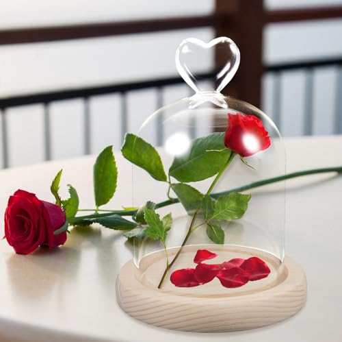 Fleur séchée en verre sous dôme cadeau idéal pour anniversaire et fête - 2