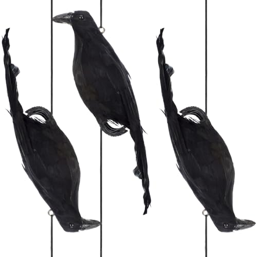 Novabright 3 Pack 15 Inch Realistic Hanging Dead Crows Decoy Life Size Extra Large Black Feathered Crow Fake Decoy Raven for Garden Yard Farm Roof to Keep Crows Ravens Pigeons Away Party Props