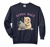 Alpha Male Cute Cat Funny Meme Ironic Kitten Comfort Colors Adult Sweatshirt