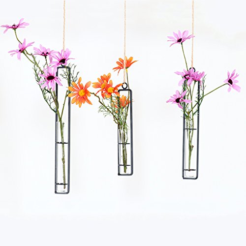Aoderun Hanging Glass Planter Water Iron Art Hydroponic Vase Transparent Test Tube Flower Hanging Bottle Home Decoration  thumb #8