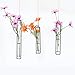 Aoderun Hanging Glass Planter Water Iron Art Hydroponic Vase Transparent Test Tube Flower Hanging Bottle Home Decoration (3pcs-S,M,L)