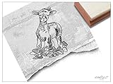 Anwendbar mit allen Stempelkissen o. flüssigen Acrylfarben, zum selber machen von Osterkarten, stempeln auf Briefumschlägen, Servietten, Geschenkanhängern, Geschenkpapier und vielem mehr.
