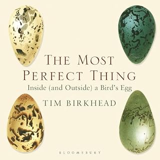 The Most Perfect Thing cover art