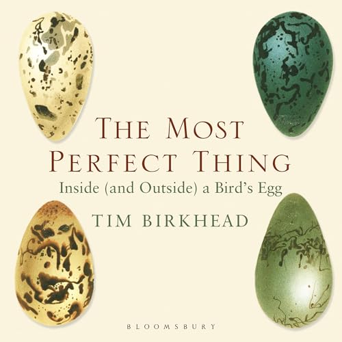 The Most Perfect Thing cover art