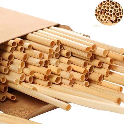 600 Stück Wildbienen Nisthülsen, 20cm Länge, Umweltfreundliche Bambus-Röhren Füllmaterial, Nachfüllpackung für Insektenhotel Solitärinsekten, Naturschutz Garten