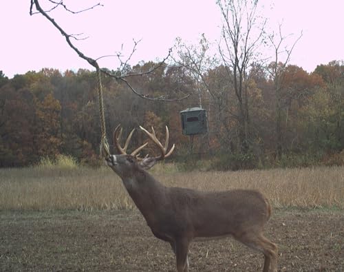 Wildlife Research 396 Center Golden Rope Scent Rope Kit thumb #1
