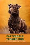  Patterdale Terrier Dog: How to Welcome A New Terrier Dog to The Family (English Edition)