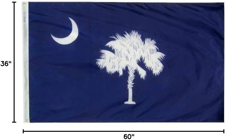 3x5' South Carolina Heavy Weight Nylon Flag from All Star Flags