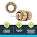 SharkBite 1 x 1 Inch FNPT Adapter, Push To Connect Brass Plumbing Fitting, PEX Pipe, Copper, CPVC, PE-RT, HDPE, U094LFA