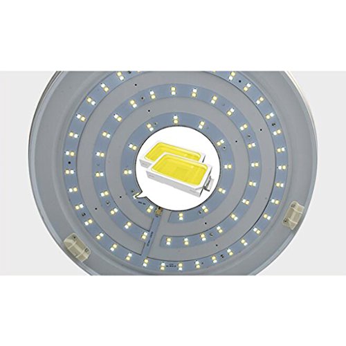 Ventilateur de plafond LED 42 pouces avec télécommande pour chambre et restaurant
