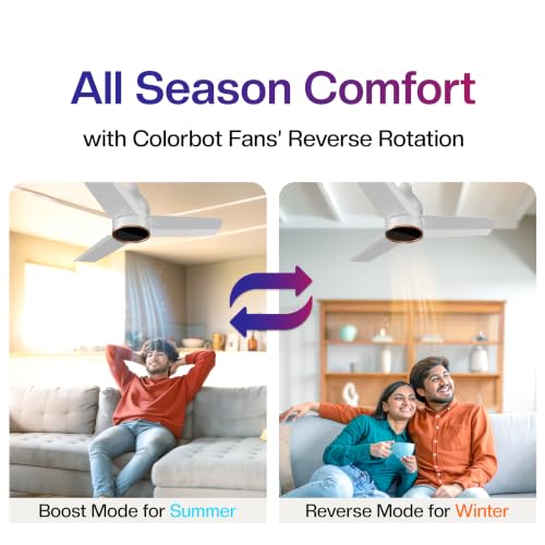Image of Colorbot Prizma BLDC Ceiling Fans 900mm | BEE 5 Star Rated 850 RPM | Savings up to 67% | Remote Control (Boost, Timer, Reverse Mode) | 4 Years Warranty | Arctic White (New Launch)