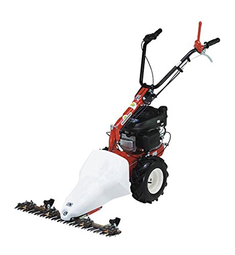 EUROSYSTEMS M 210 MOTOFALCIATRICE CON MOTOR HONDA GCV 160 BARRA DE CORTE 87 CM MADE IN ITALY