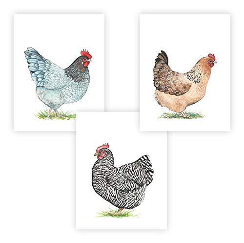 Image of FannyD UNFRAMED Watercolor Art 3 Print Set 8.5" x 11" Perfect for Bedroom, Bathroom, Kitchen, Nursery etc. Can Be Framed 8" x 10" or Larger with mat. Unique Wall Decor!! (Chickens Black)
