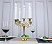Maiheimoon Metal Candelabra Retro Candlestick Holder for Candlelight Dinner and Table Decoration (5 Arms-Gold-1)