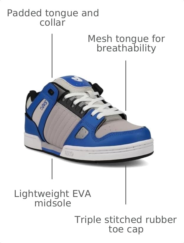Image of DVS Celsius Skate Shoes