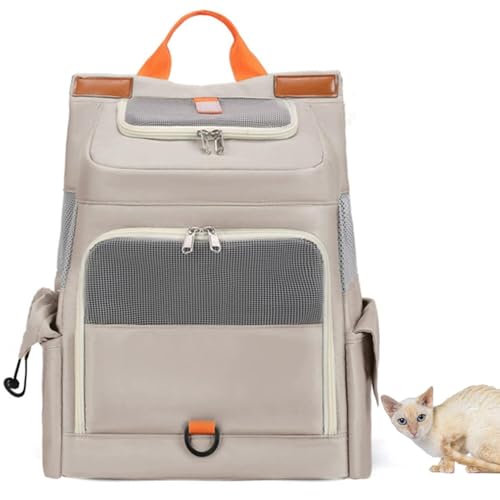 Lifetips�W���[�}�����b�N�X German Rex �y�b�g�����b�N �L�����[ �ʋC�����b�V�� �J�[�e���t�� �y�� ���˃e�[�v ��яo���h�~ �h�� ���� ���@�\ �����b�N�^�y�b�g�L�����[ ���^�� ���^�� �L ���s �ʉ@ ���]�� �d�� ���[�|�P�b�g�t�� 