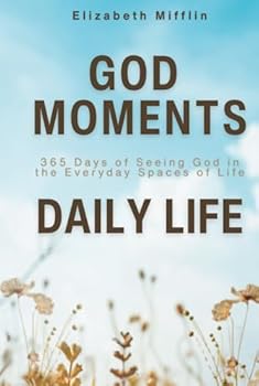 God Moments Daily Life: 365 Days of Seeing God in the Everyday Spaces of Life