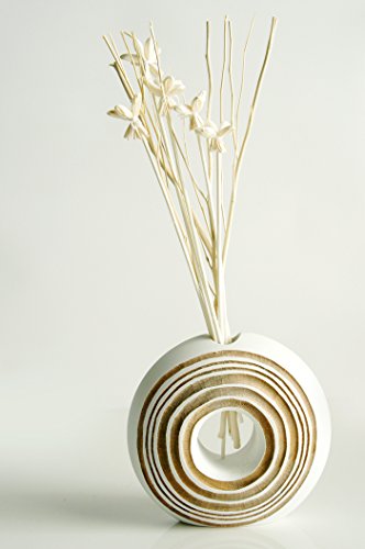 Bundle Branch Reed Diffuser for Home Fragrance Aroma Oil by Plawanature