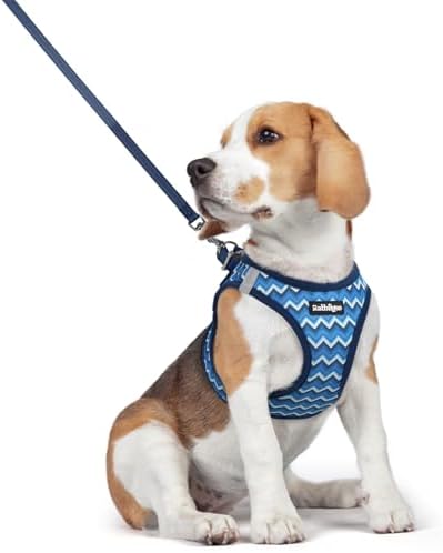 rabbitgoo Hundegeschirr Kleine Hunde mit Leine Step-in, Chevron Blau, L | Einfach anzulegen, Atmungsaktiv, Weiches Mesh & Reflektierend, Sicherheitsverschluss mit 1,5m Leine für Kl