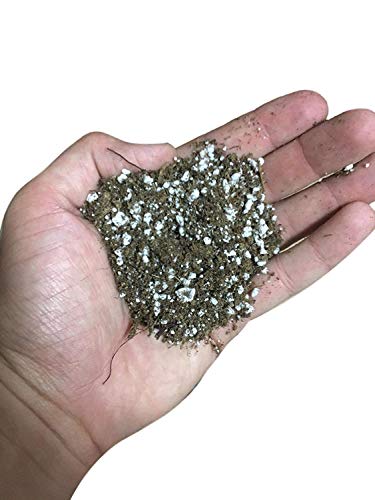 Carnivorous Plant Soil Mix, 1 Quart Re-Pot 1-2 Small Plants Size Bag, All Natural Ingredients, Great Soil for Venus Fly Traps, Sundews, and Pitcher Plants (1qt)