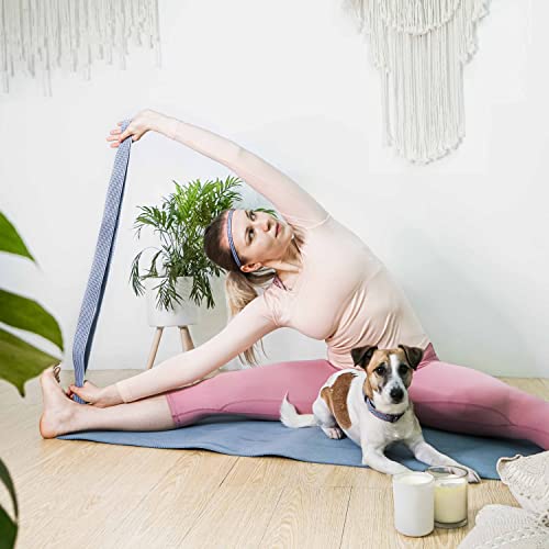 Blueberry Style Variety Gift Box in Multicolor Braids - Soft Small Dog Collar, High Density 6 ft Yoga Stretch Strap and Skinny Elastic Headbands for Pet Lover