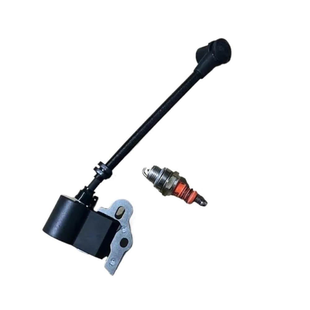 Bobines d'allumage et bougies BM6A pour un démarrage thermique stable