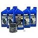 Yamaha Yamalube Watercraft 10W-30 Oil Change Kit, #LUB-MRNMR-KT-10