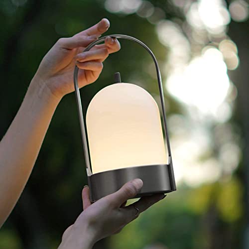 Tubicen Akku Outdoor Lampe Tragbare LED Wiederaufladbare Kabelloses Tischlampe 4000mAh Batteriebetrieben 4-Stufen Dimmbares Tischleuchte für Garten Schlafzimmer Außen Camping (Nickel) Cover