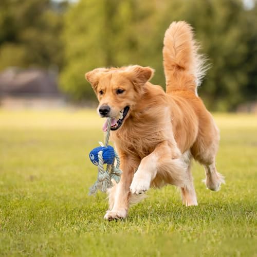 TONYFY Niedliche Meerestieren Hundespielzeuge mit Quietscher, Interaktive Plüschspielzeuge aus Baumwolle mit Knoten und Knisterpapier – für Welpen, kleine und mittelgroße Hunde (Blauer Oktopus)