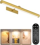 EZVALO 16' Picture Light for Wall, 6000mAh Rechargeable Wireless Picture Light with Remote, Dimmable Battery Operated Painting Light with 3 Color Temps for Wall Art, Living Room, Hallway - Gold
