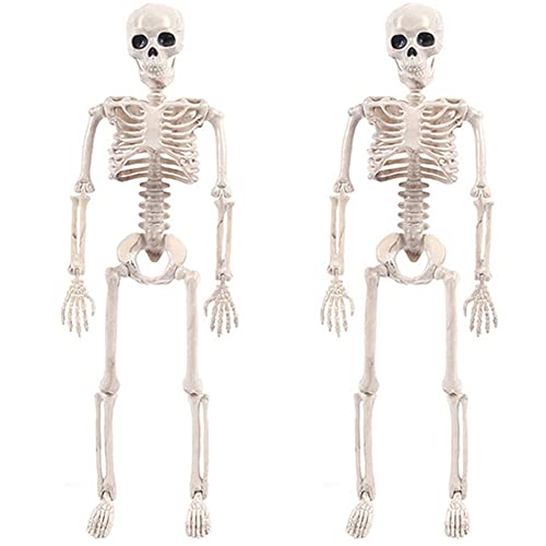 Tvoip 2 Packungen Halloween Skelette, Halloween hängende Skelett Dekoration 40,6 cm bewegliche Skelett Halloween Dekoration Ganzkörper bewegliche Gelenke Skelette Halloween Dekorationen Outdoor Indoor Cover