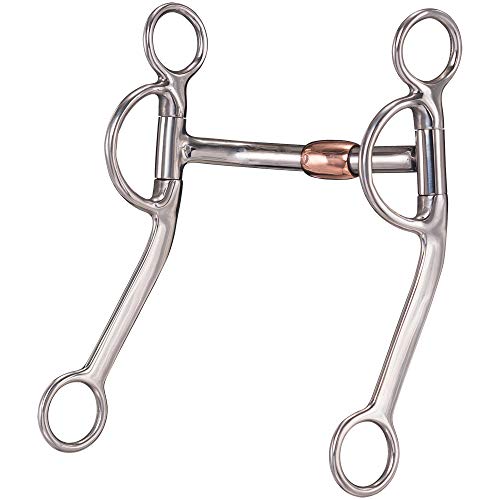 10 Best Walking Horse Bits in 2023 (April update)