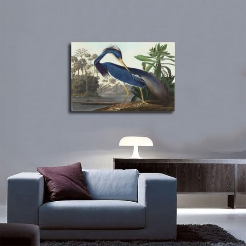 Cadre à suspendre Héron de Louisiane Audubon - Tableau sans reflets