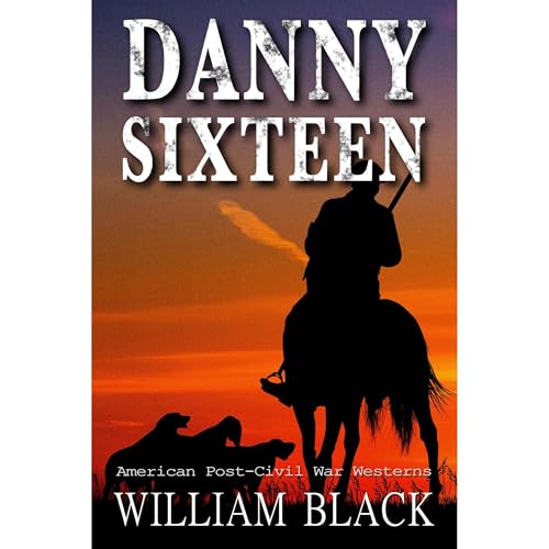 Danny Sixteen (Authored by William Black) episode artwork