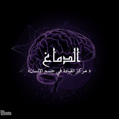 الدماغ &ndash; مركز القيادة في جسم الإنسان