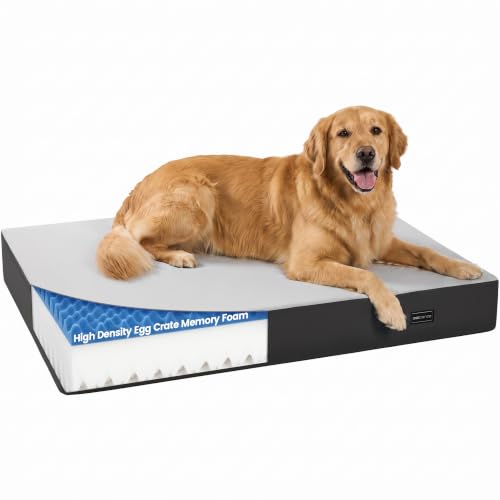 Orthopedic Dog Bed for Medium Large Dogs - image 1