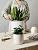 LE TAUCI Ceramic Plant Pots Indoor, 10 Inch 8 Inch 6 Inch Planters for Indoor Plants, Mid-Century Modern Flower Pots with Drainage Hole and Plug, Cylinder Round Planter Pots, Set of 3