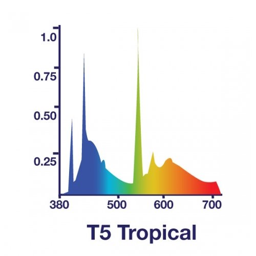 54W T5 Tropical - Image 2