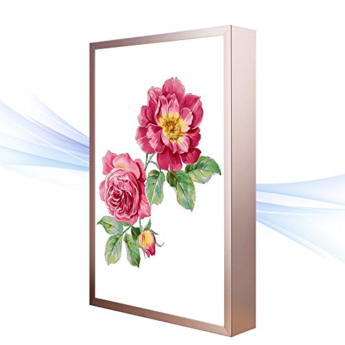 Preisvergleich Produktbild LED Wandlamp Eenvoudige moderne Wandlamp werkkamer Schlafzimmer Nachttischlampe Wohnzimmer Gang Treppe Wandlampe Wandlampe Blume Wohnzimmer Schlafzimmer Nachttischlampe, B Abschnitt 20 * 30cm