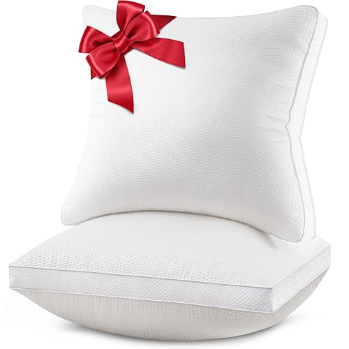 AIAEL 18x18 Down Alternative Pillow Inserts (Set of 2)