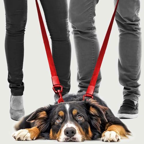 Page de couverture de Who Gets The Pet In A Divorce?