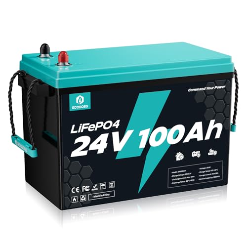 ECOBOSS 24V 100Ah LiFePO4 Battery, 2560Wh Deep Cycle Lithium Battery, 100A BMS, 15000+ Cycles, Low-Temp Cutoff Protection, Lithium Battery for Solar, RV, Backup Power, Off Grid