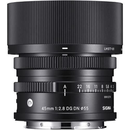 SIGMA 14-24mm F2.8 DG DN | Art A019 | Leica Lマウント | Full-Size/Large-Format ミラーレス専用