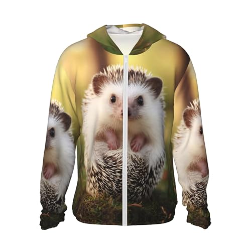 UPF 50+ Sun Protection Hoodie Rash Guard Long Sleeve Sun Shirt Baby Hedgehog UV Shirt Full Zip Jacket