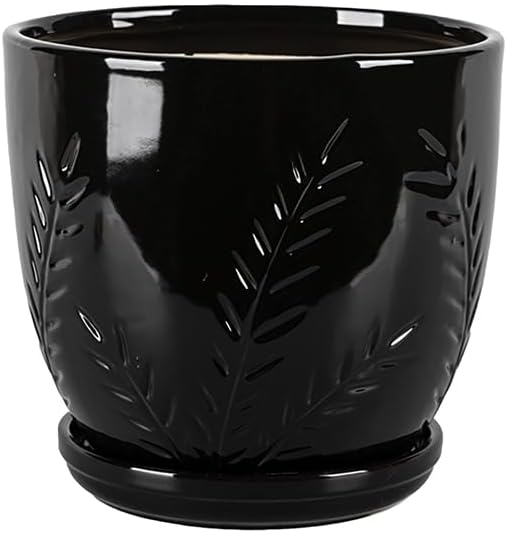 Aspen & Fig Black 8 Inch Indoor Ceramic Plant Pot with an Attached Saucer and Drainage Hole for House Plants, Herbs, Flowers, Succulent, Snake Plants, Gifts for Mom, Standard Pot