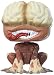 Funko POP Games: Resident Evil-The Licker Action Figure