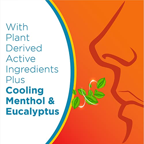 Zicam Cold Remedy Nasal Swabs With Cooling Menthol & Eucalyptus, 20 Count (Pack Of 2) #TOP3