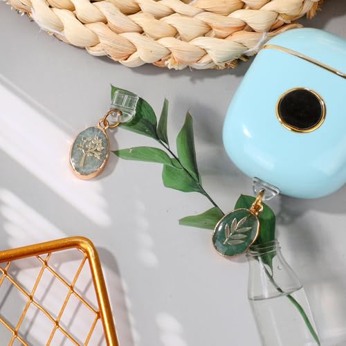 Penitue 2pcs Crystal Charms for Kindle, Phone and Tablet Accessories USB C Anti-Dust Plug Charm Compatible with Kindle & Phone Type C Charging Ports for E-Reader Book Lovers